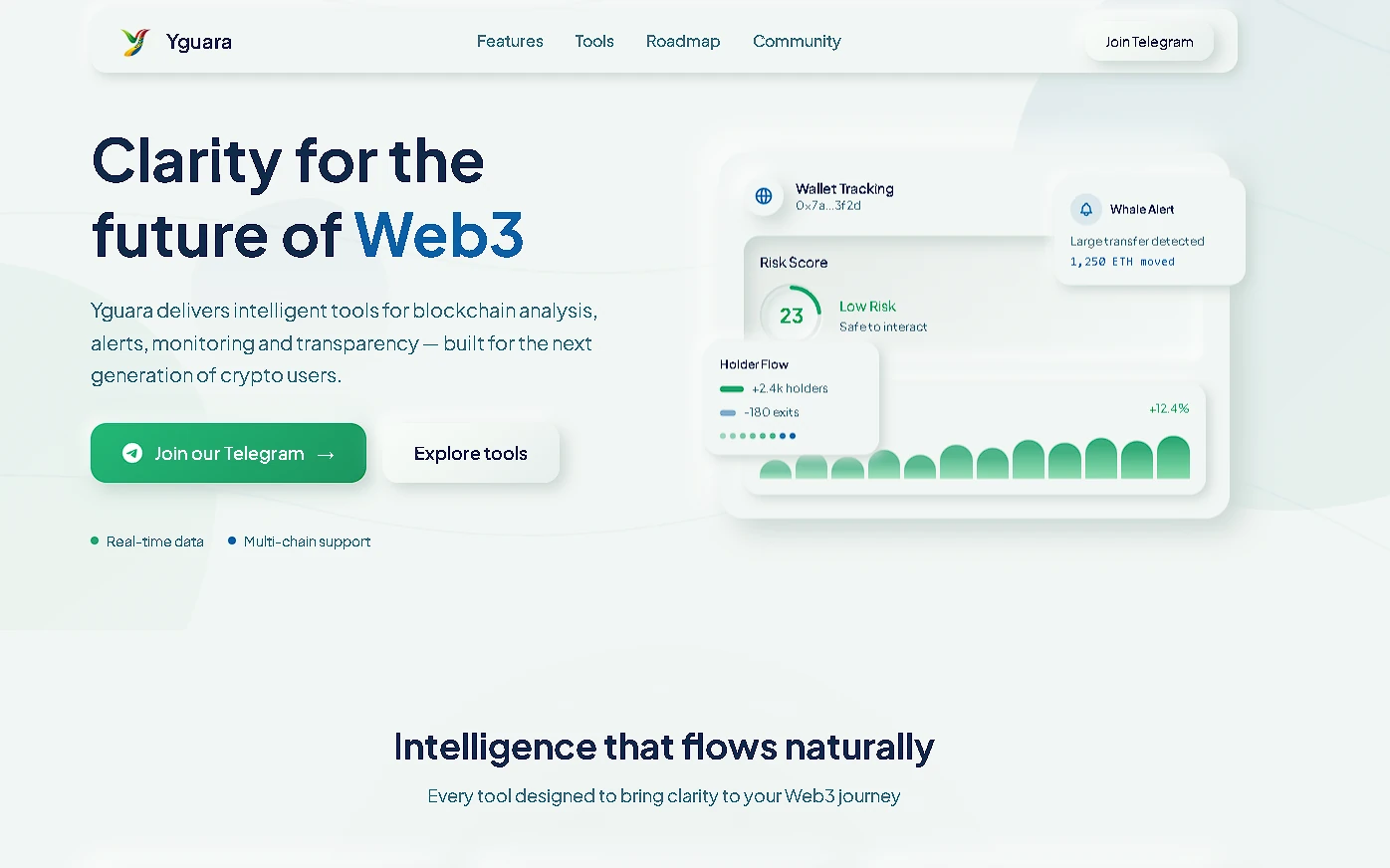 Landing page Yguara com apresentação de ferramentas para análise de blockchain